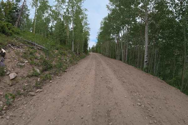 Bobcat Road - FS 185