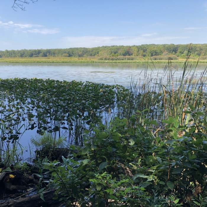 Near Beaver Pond to Basin Overlook Out-and-Back