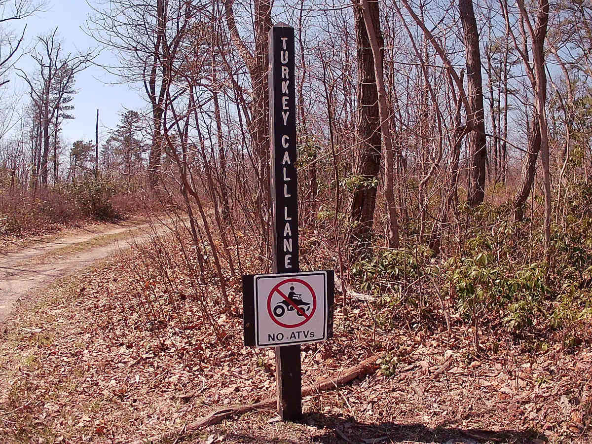 Turkey Call Lane trail photo