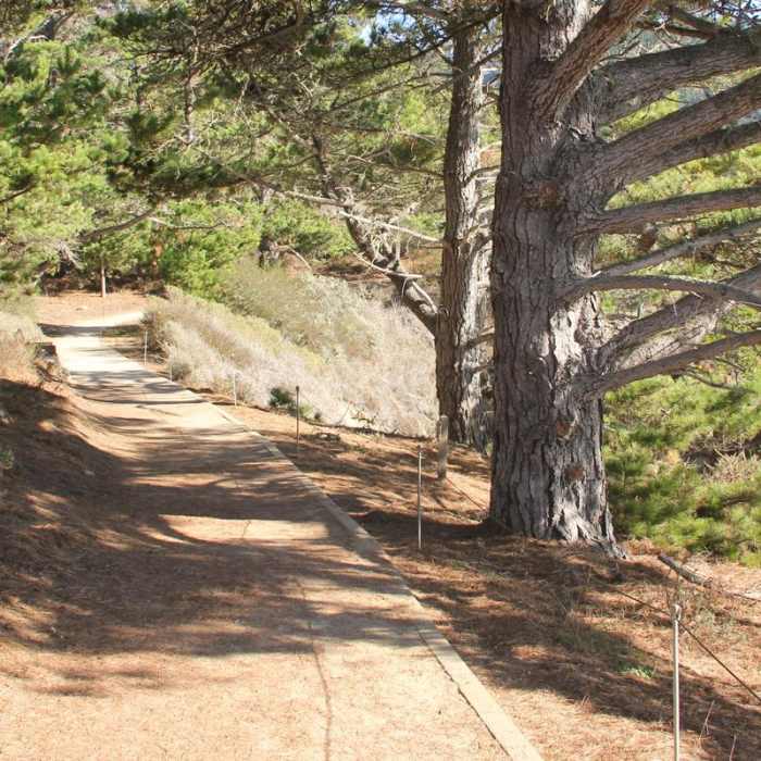 Near Bird Island Trail