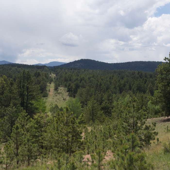Near Hans Loop Trail