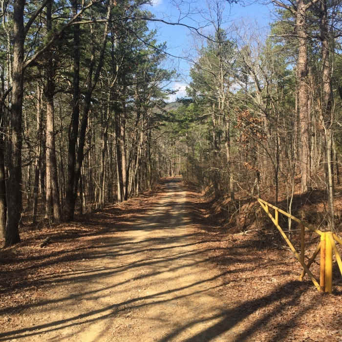 This dirt road leads to the Ward Dam. The gate closes at random times, so you can be trapped if you drive here. Near Earthquake Ridge Trail Upper Loop