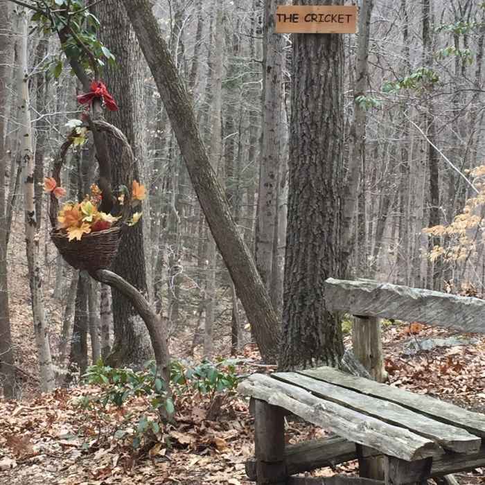 Near Reeve Biggers Trail