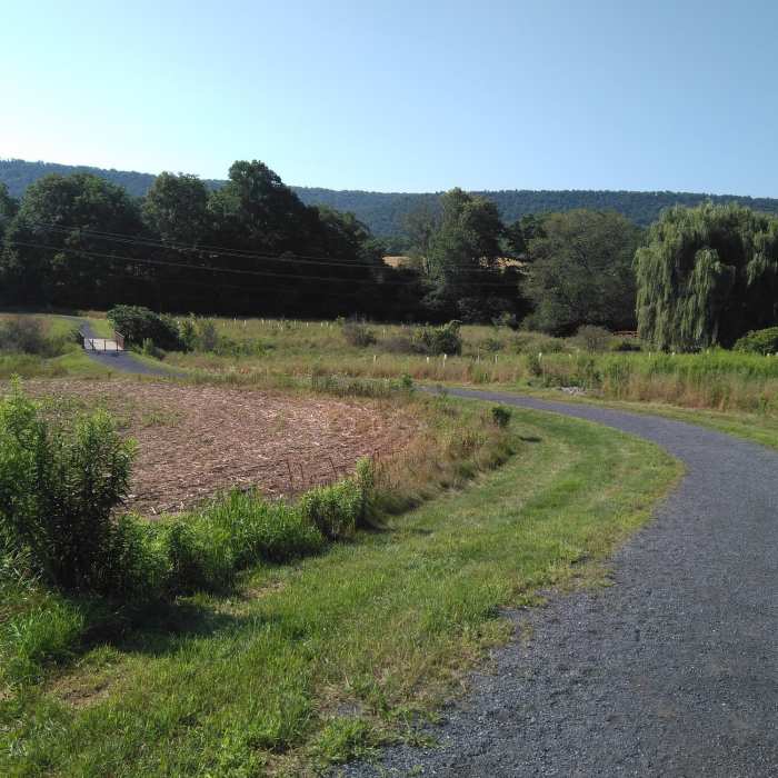 Near Musser Gap Greenway