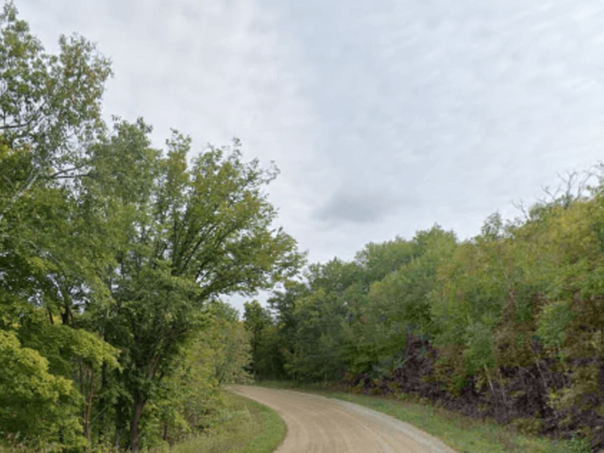 New Horizons - Gravel photo 4