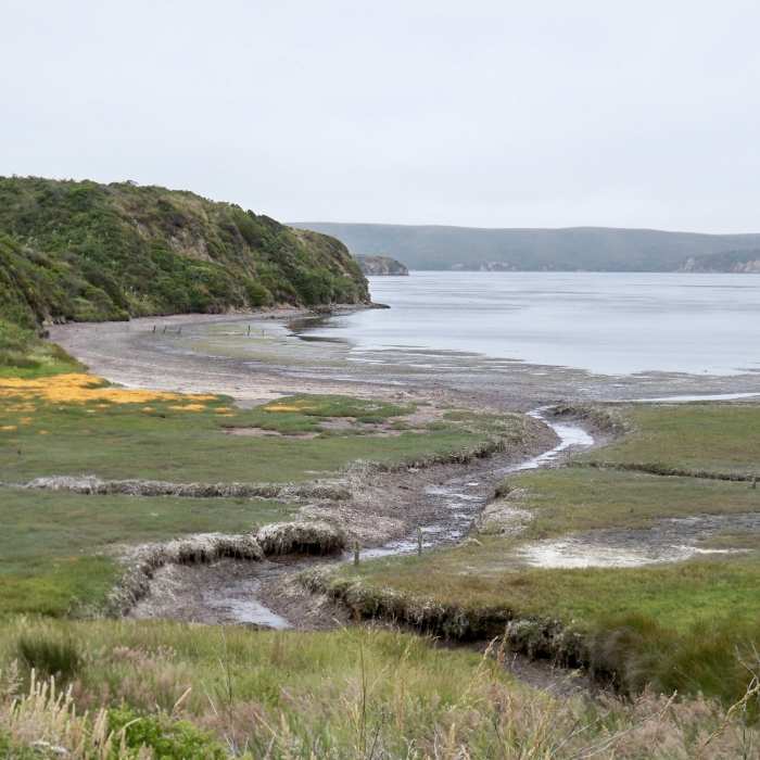 Near Estero to Sunset Beach