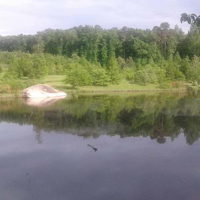 A beautiful view from the shore. Near De Hart Botanical Gardens