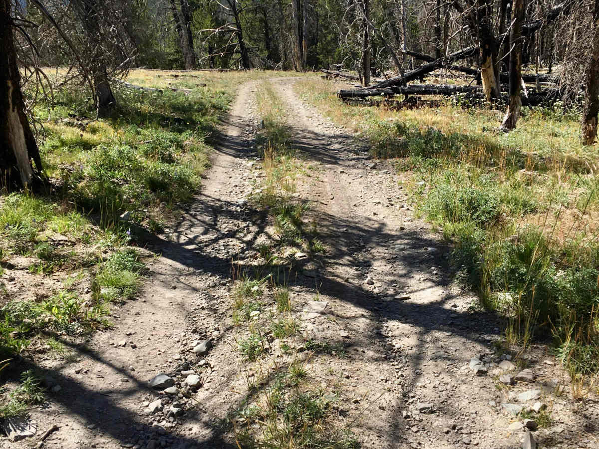 Black Canyon Ridge Road photo 5
