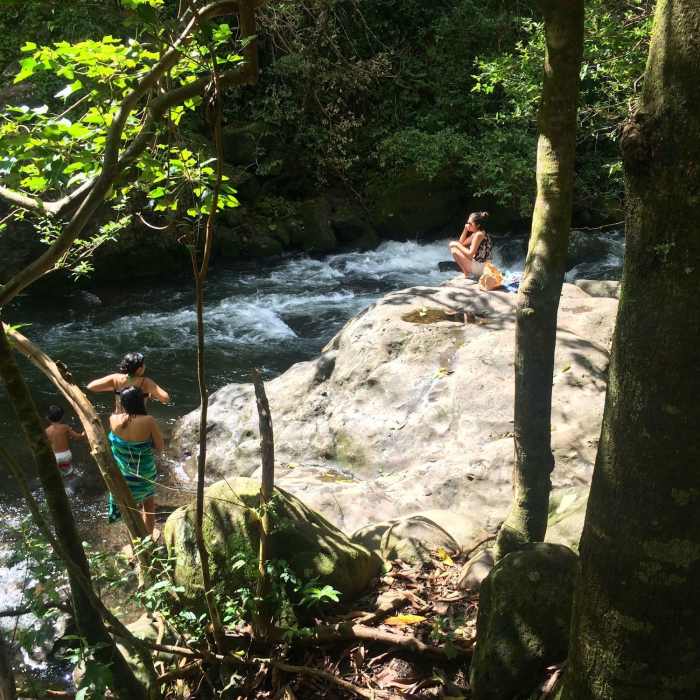 Wading the Iao Stream Near Iao Valley State Park