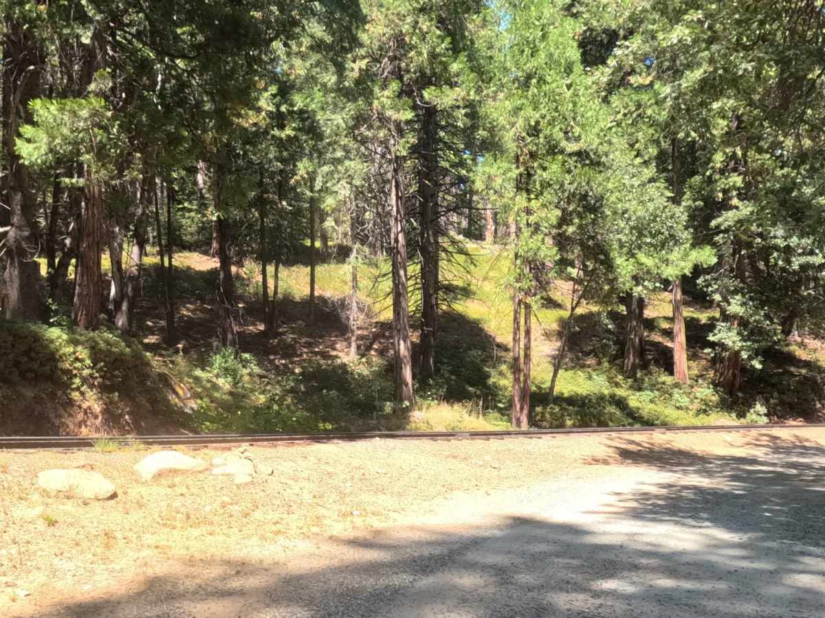 Lower Speckerman Fire - FS 5S017 photo 2