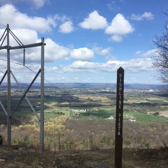 Near Musser/Shingletown Loop