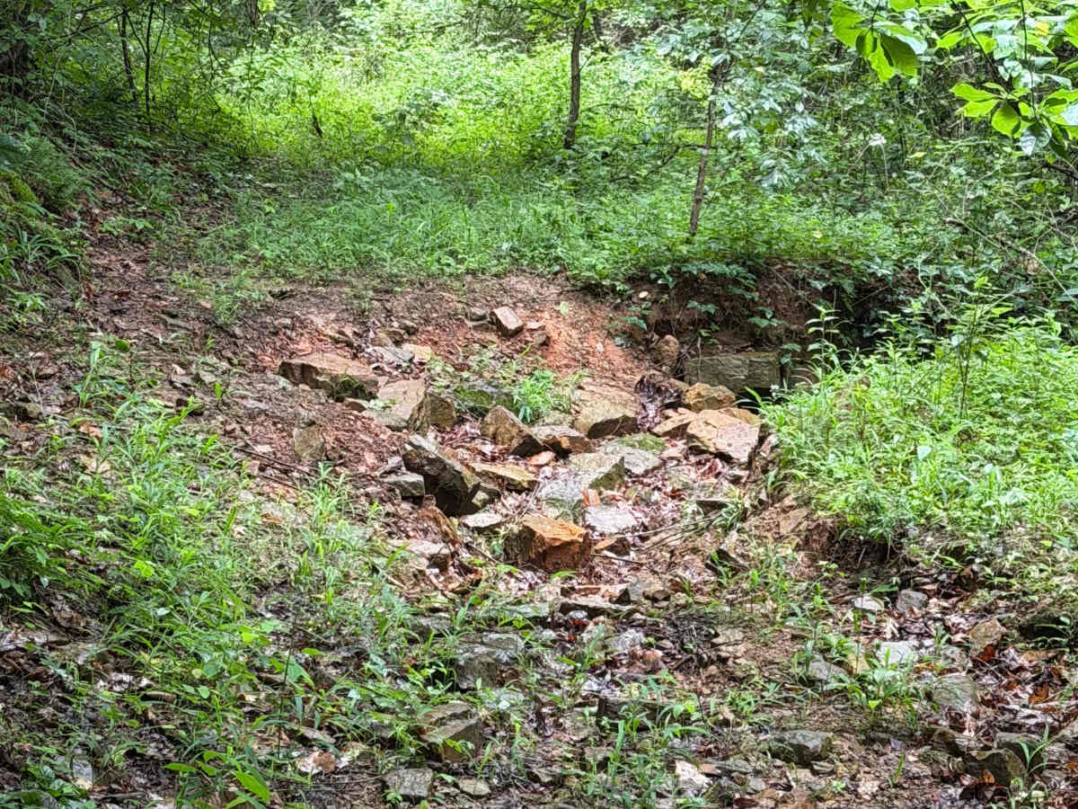 Lonny's Ground photo 4