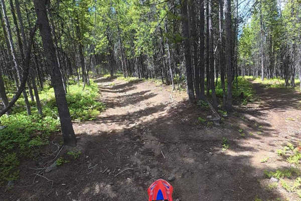 Sleeping Child Divide, USFS 104
