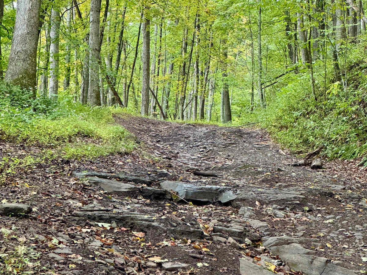 Mix Run Road trail photo
