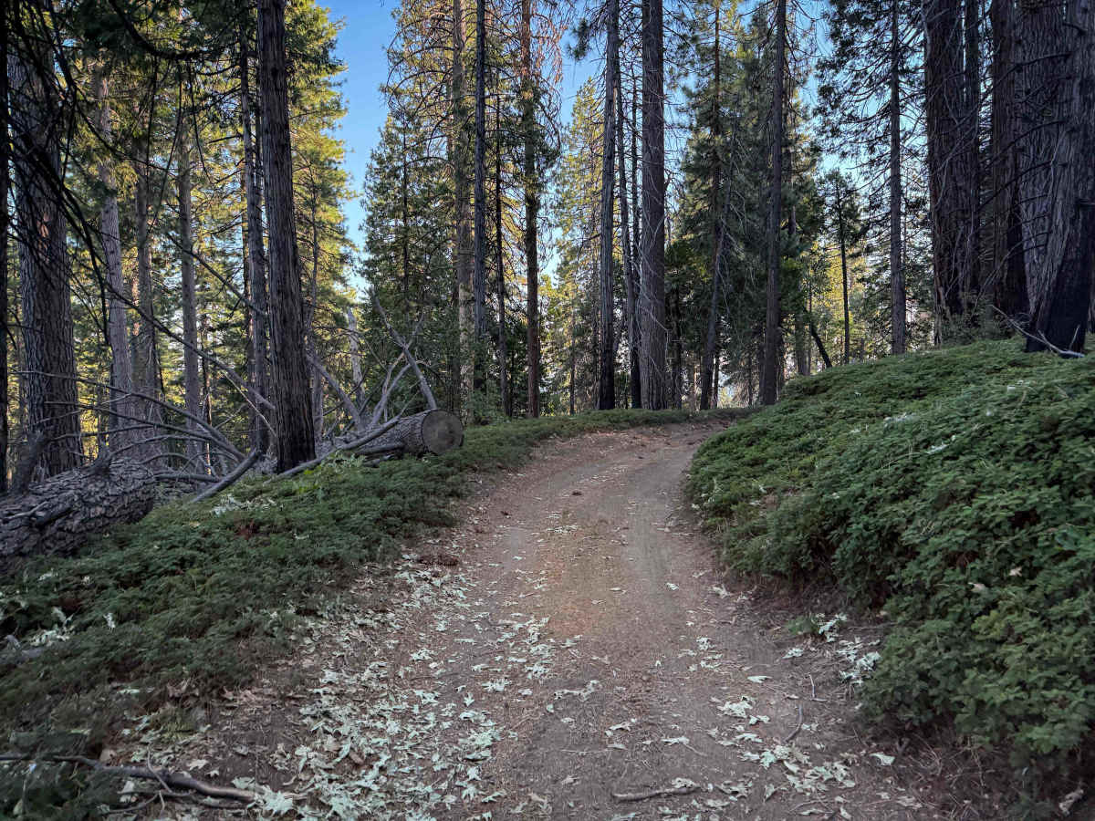 21E244 photo 4