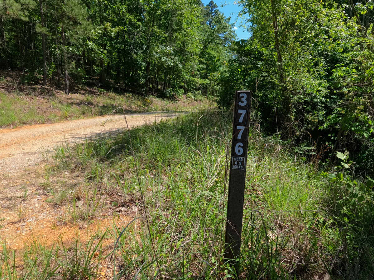 Malady Hollow - FS 3776 photo 2