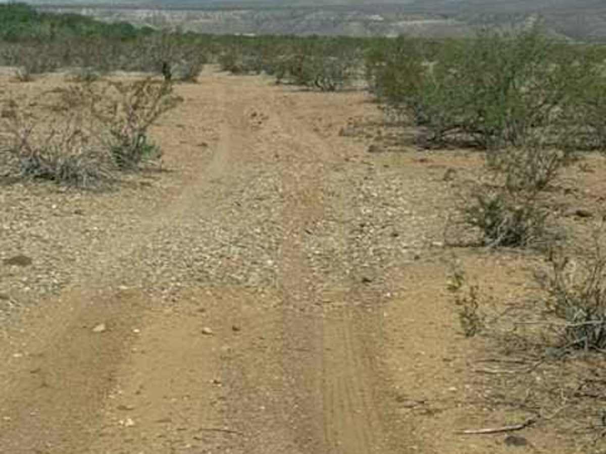 BLM PE1021 photo 4