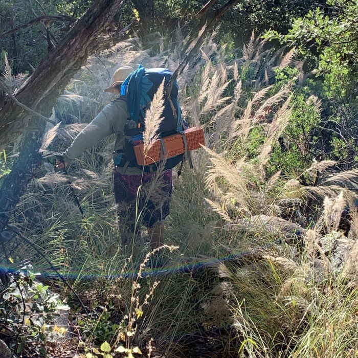 Near Rincon Creek Trail