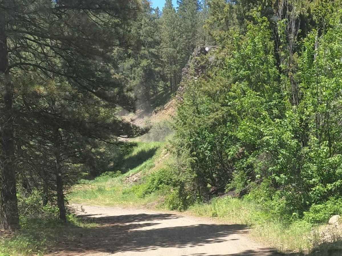 Barber Springs Road trail photo