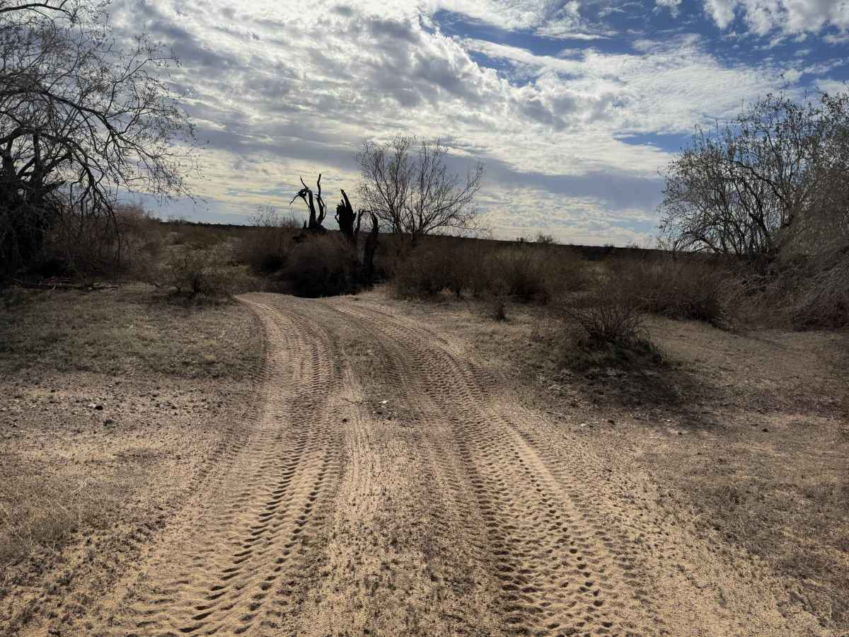 Sonoran Desert Flats  photo 5