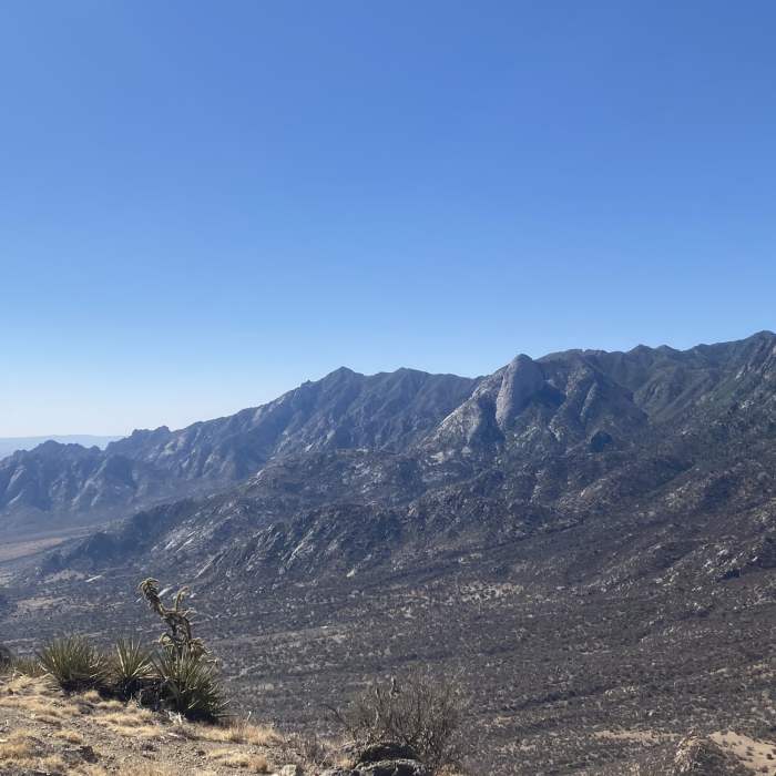 Near Baylor Peak Trail