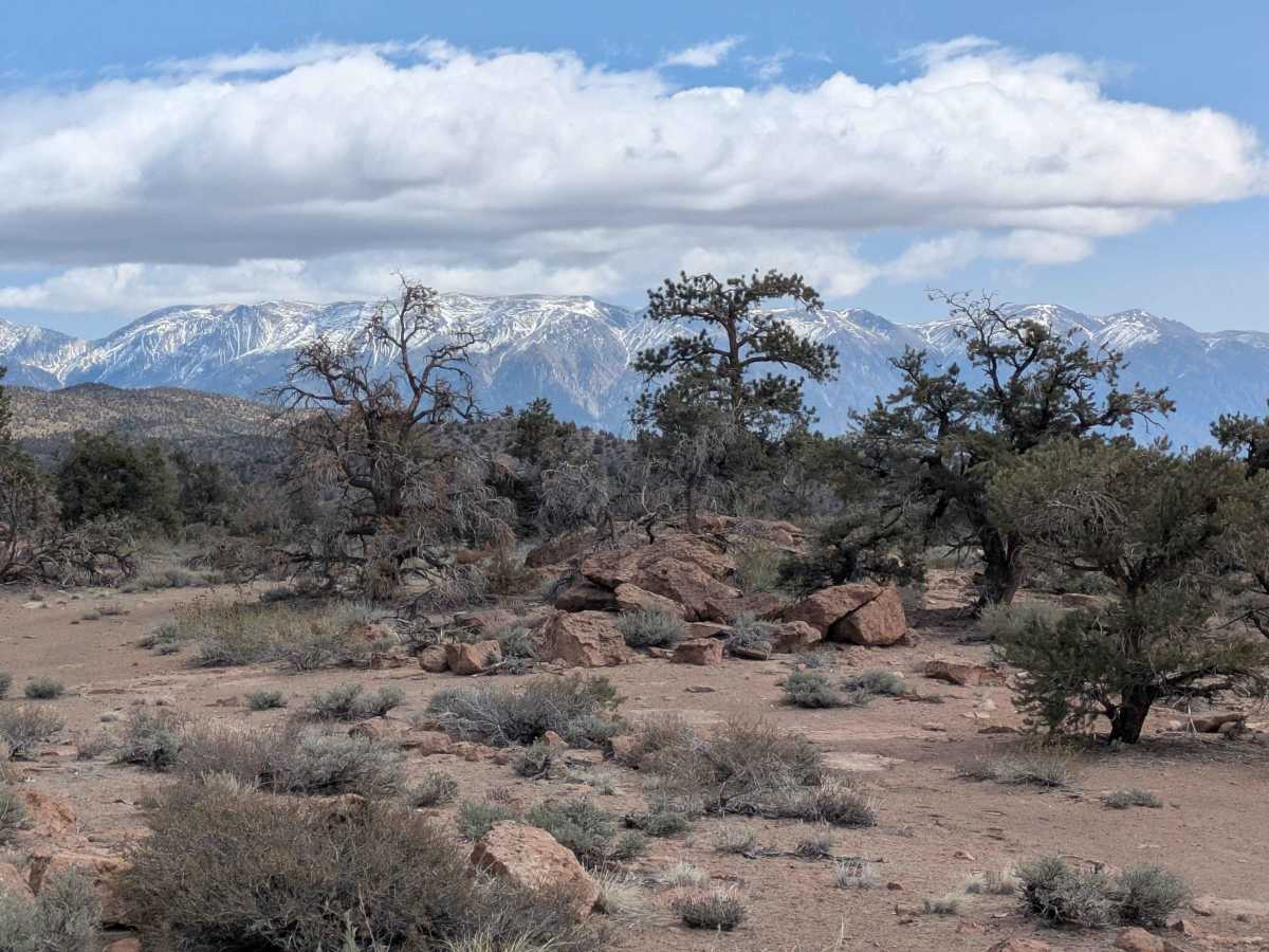 FS 4S130 trail photo
