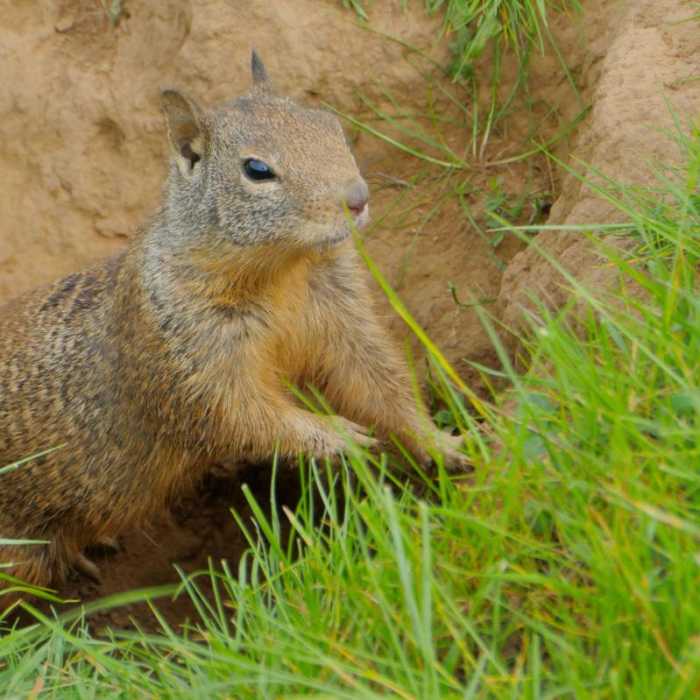 Near Suisun Hill Trail Hike