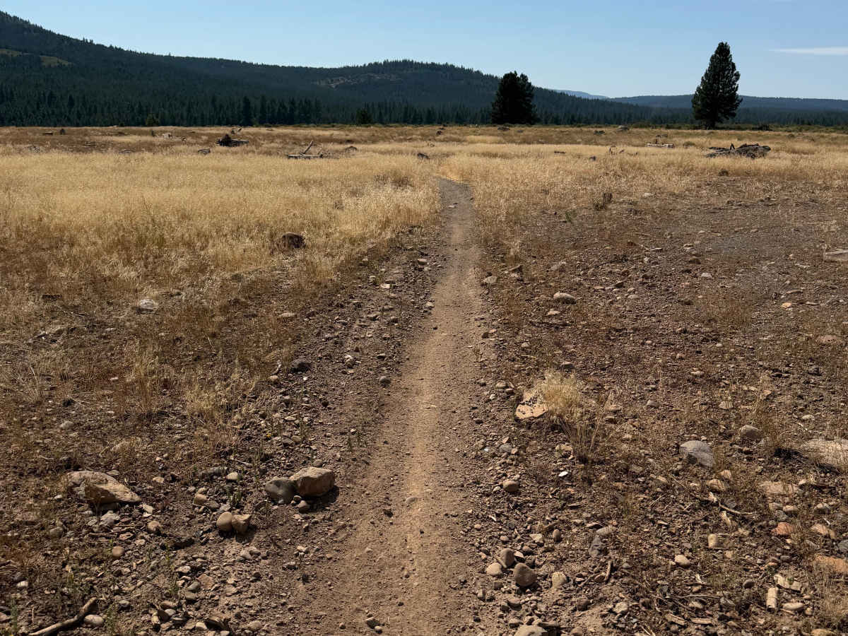 Ice House Trail photo 2