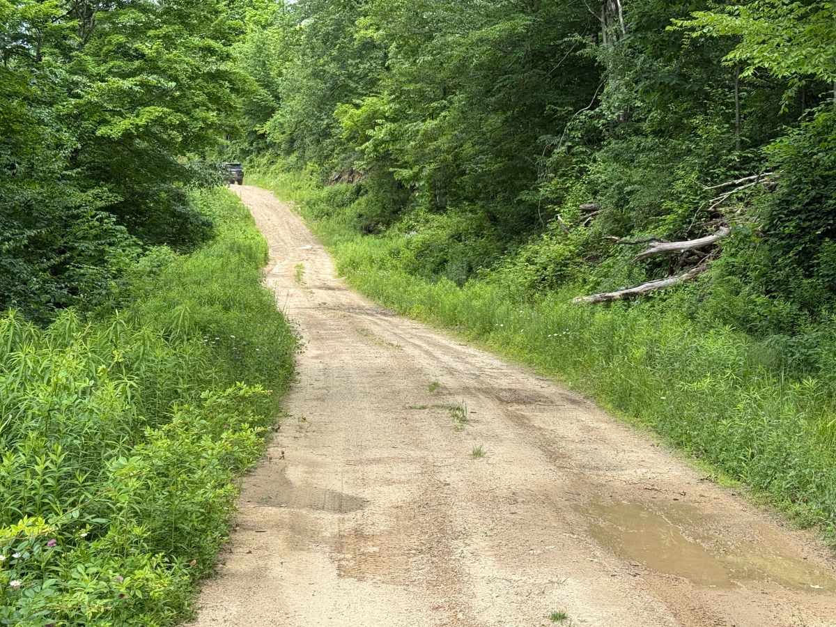 Whiting Run - FS 321 photo 4