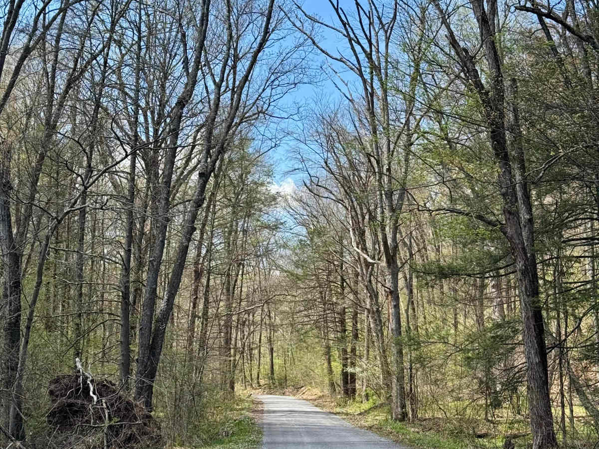 Wynn Gap Rd photo 5
