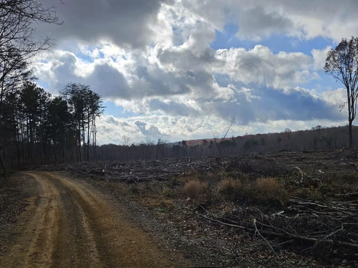 Sulfer Branch Road photo 6