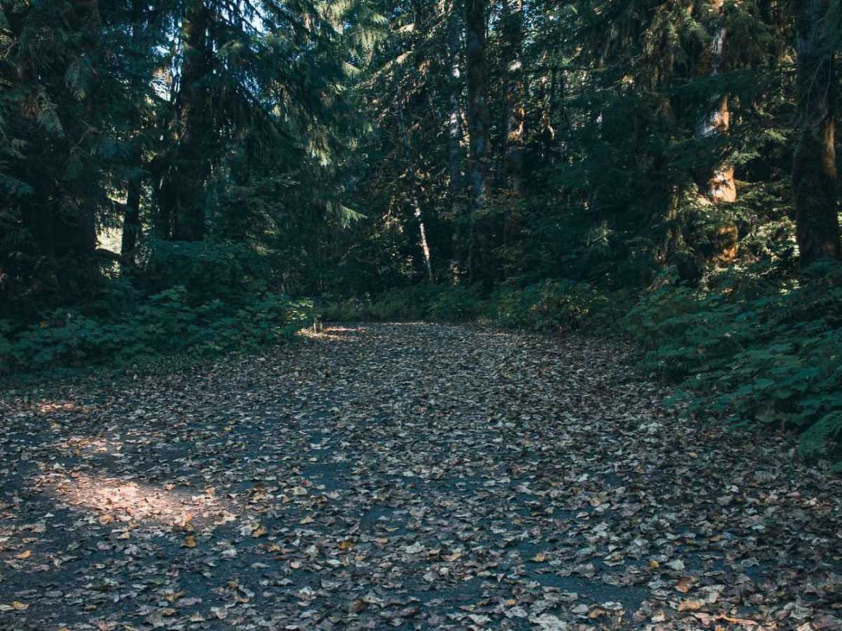 Ames Creek trail photo
