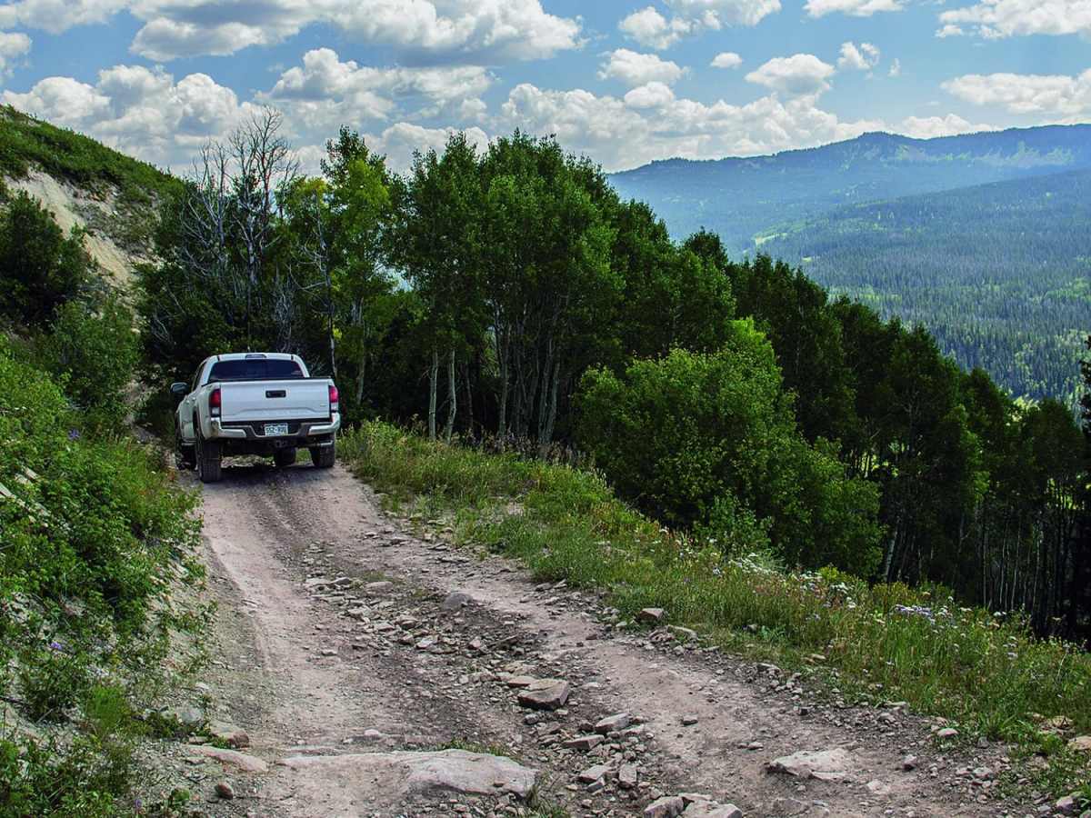 Sheephorn Mountain trail photo