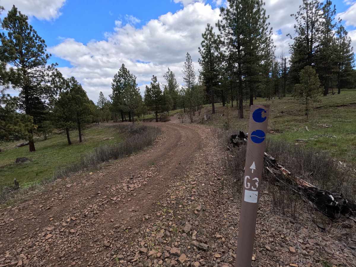 Trail G3 Hillclimb photo 6