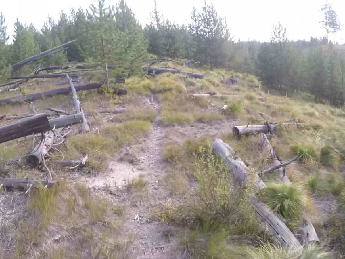 FS 504 photo 2