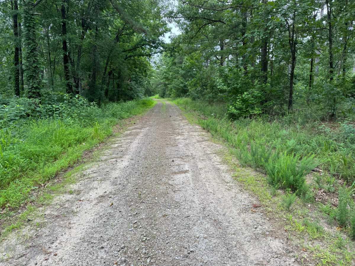 Devils Ridge photo 2