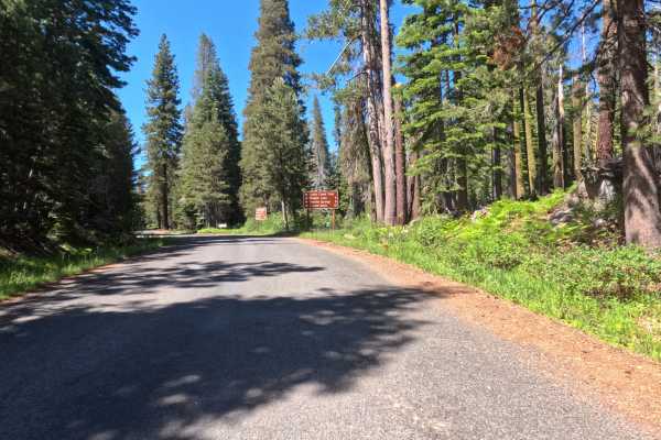 Granite Springs Road - FS 11N99