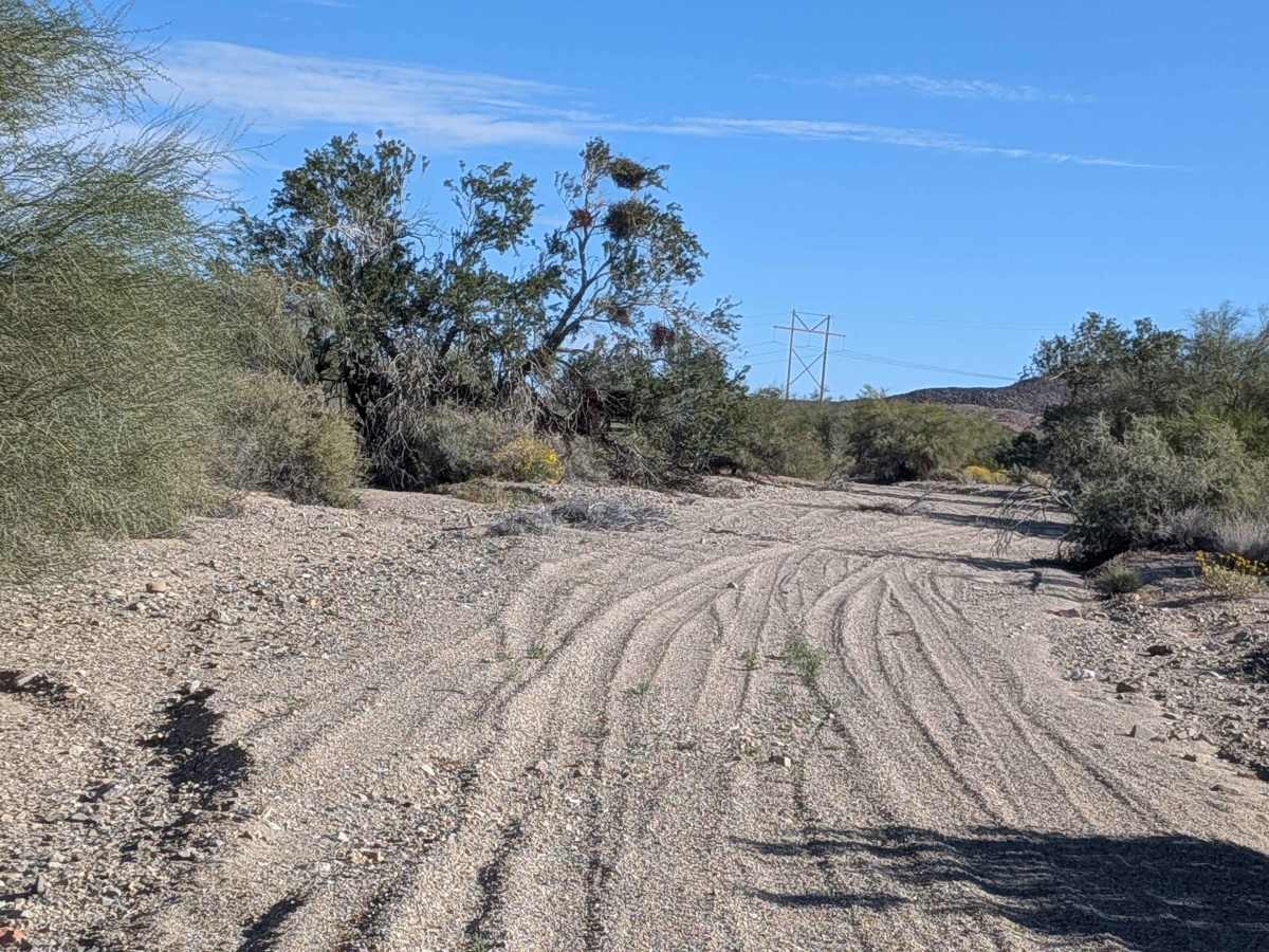 BLM 636 Cut Off photo 3