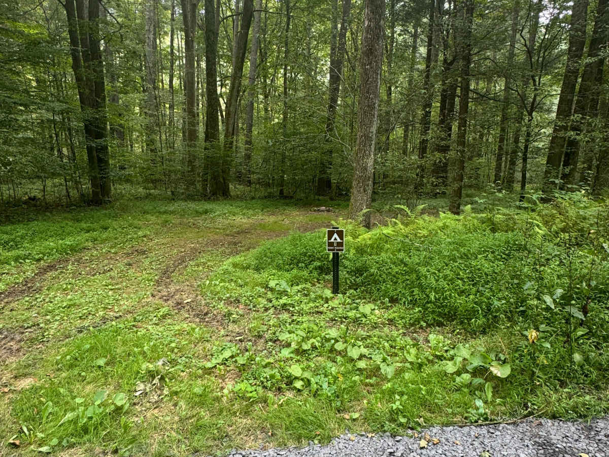Upper Grays Run Road photo 6