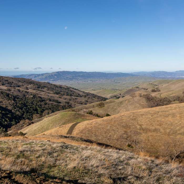 Near Rocky Ridge Pasture Trail