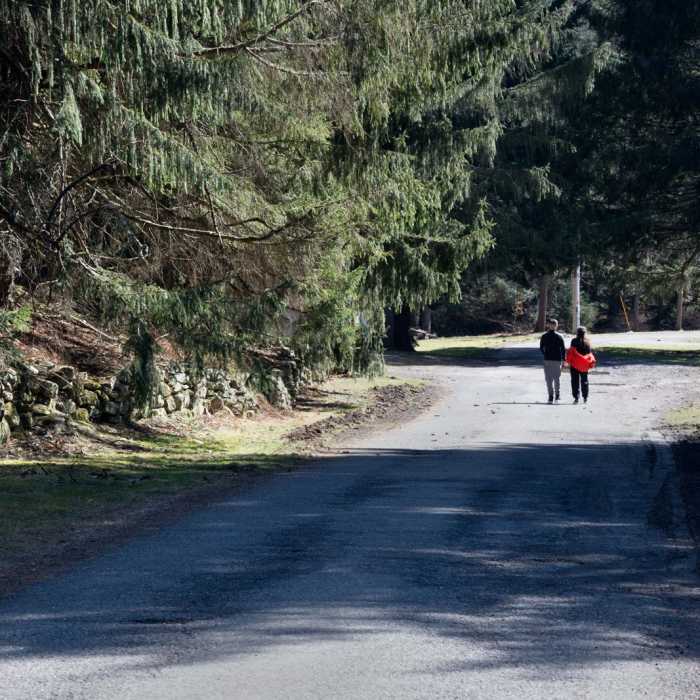 Near Sand Spring Trail