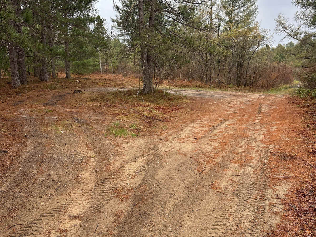 Hayesego Trail trail photo