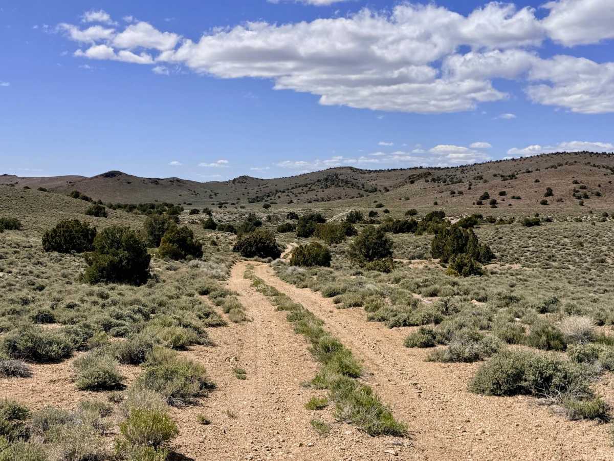 Four Mile Spring Bypass - FS 44428 trail photo