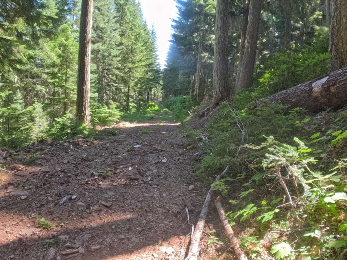 Crescent Creek Road - FS 2067510  photo 5