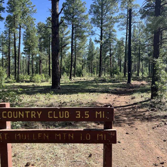 Near Pat Mullen Mountain