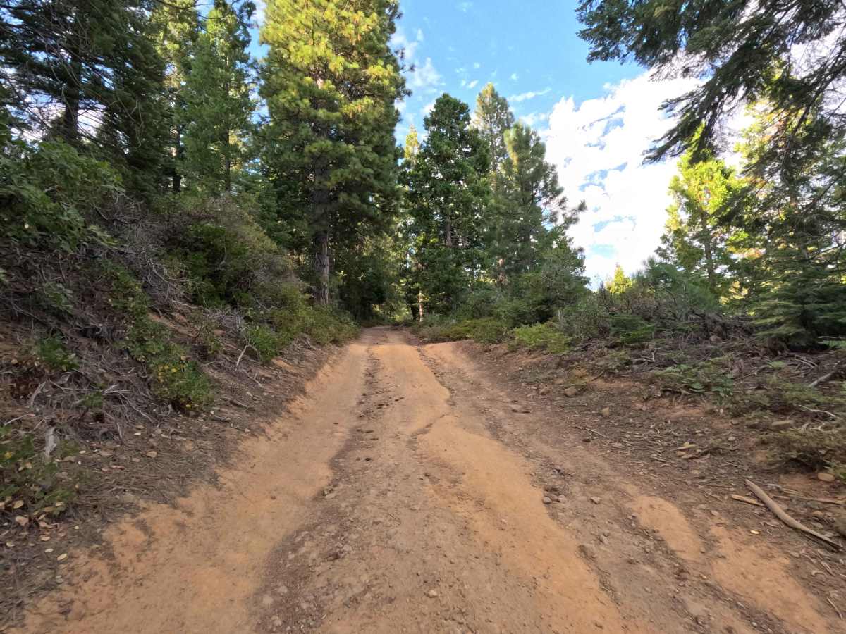 Buffin Meadow Road - FS 5S043 photo 6