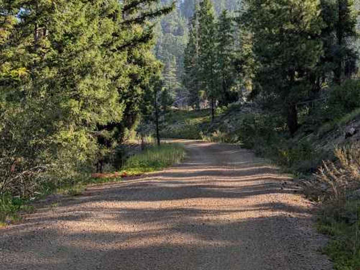 Forest Road 9718 trail photo