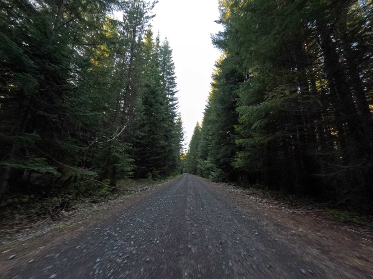 FS 2610250 photo 6