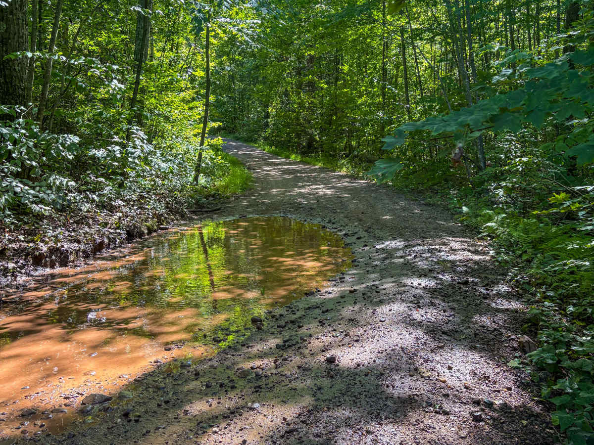 Shenipsit Trail System photo 3