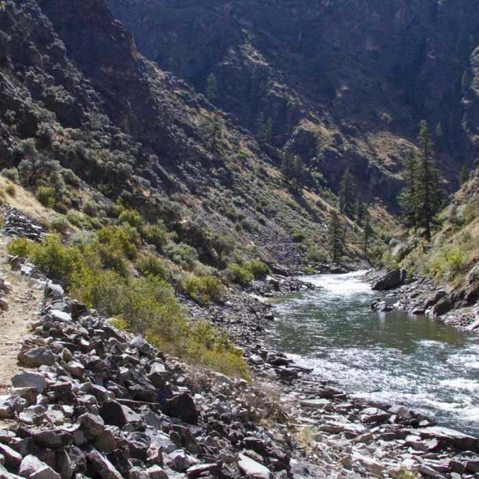 Near Middle Fork of the Salmon River Trail a Day 6